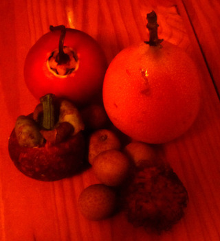 fruits /