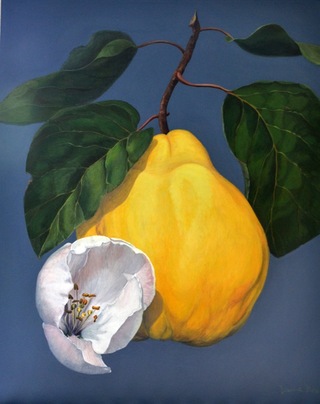 Quitte mit Blüte, 100x80, Acryl auf Leinwand