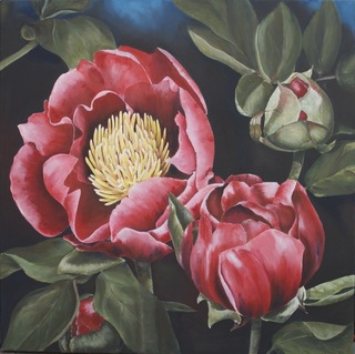 Pfingstrosen, Acryl auf LW, 100x100