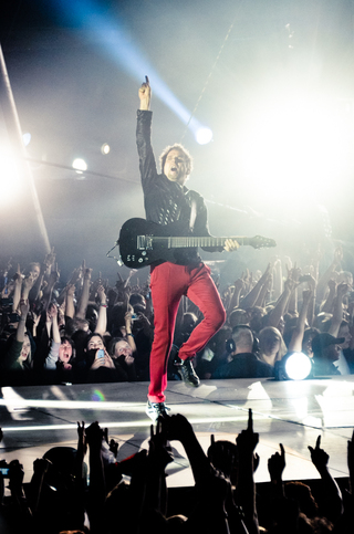 2013</br>
free work</br>
concert photos of the band "Muse"