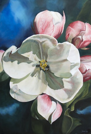 Apfelblüte