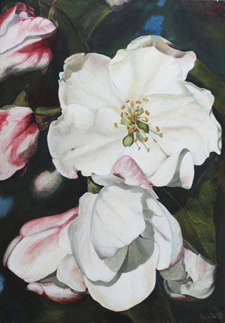 Apfelblüte