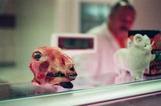 35mm Color-Negative, 2012