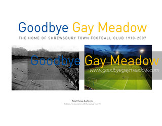 Goodbye Gay Meadow P3