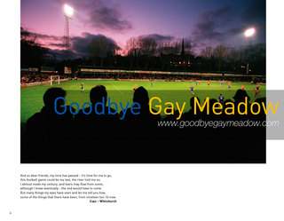 Goodbye Gay Meadow P6