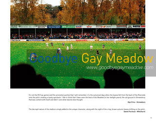 Goodbye Gay Meadow P11