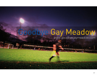 Goodbye Gay Meadow P147