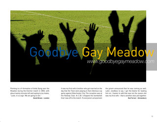 Goodbye Gay Meadow P13