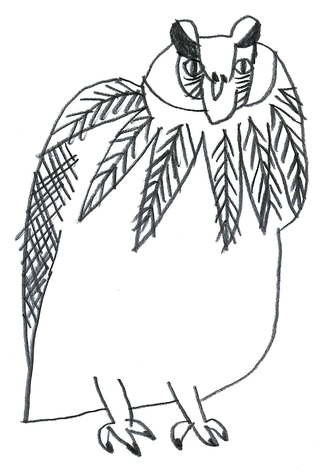 フクロウ/owl