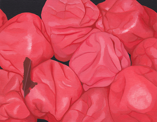 梅干し　acrylic on canvas panel 140×180(mm)　2011