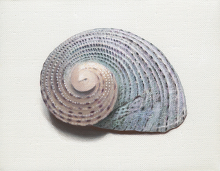 貝殻-3　acrylic on canvas 140×180(mm)　2020