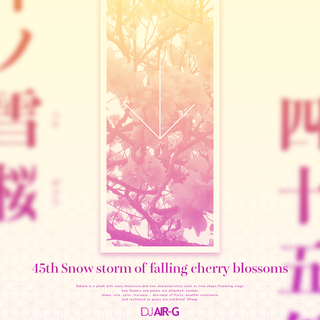 2022 デジタルシングル DJ AIR-G『45th Snow Storm Of Falling Cherry Blossoms』 ジャケットデザイン (photoshop)