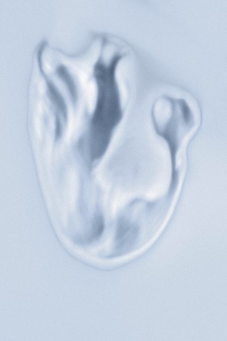 Since my mother passed.
I've become deeply aware of my own body.
Seeing her rreflection in my bones and hands.
Living as myself has become suddenly urgent.

This photograph is part of that journey-
a body carried on as a certain inheritance.