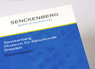 Museumskonzeption Senckenberg Naturhistorische Sammlung Dresden, Zusammenarbeit mit Antje Werner