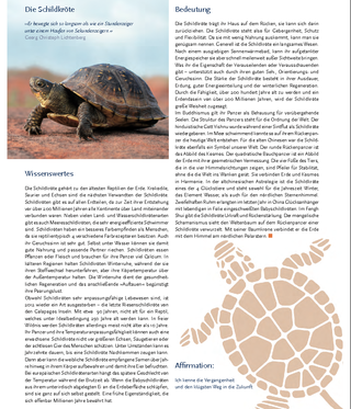mythologie & biologie / unterhaltungszeitschrift / artikel: die schildkröte