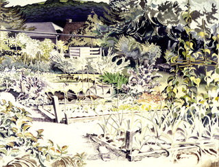 Diana's Veg Patch  Watercolour