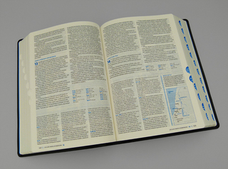 Slovo na cestu / Bible s poznámkami (1936 stran) / Dům Bible 2012 / Designiq