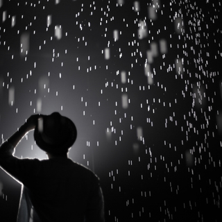 <strong>Photography</strong><br/>
Documentation of Random International's <em>Rain Room</em> at Yuz Museum Shanghai<br/>