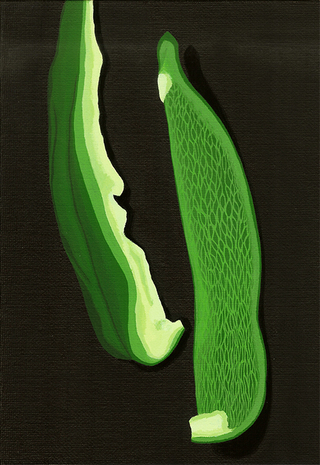 ピーマン　acrylic on canvas panel 227×158(mm)　2010