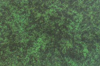 Detail grünes Paneel "Ein weites Feld"