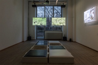 Ausstellungsansicht "Ein weites Feld", Diplomausstellung, AdBK München