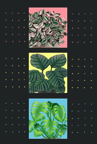 "Botanical"
This is a postcard design.