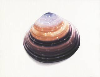 貝殻-6　acrylic on canvas 140×180(mm)　2020