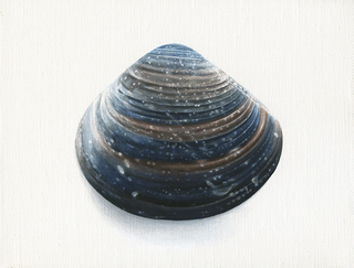 貝殻-7　acrylic on canvas 140×180(mm)　2020