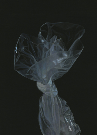 袋　acrylic on canvas 333×242(mm)　2021