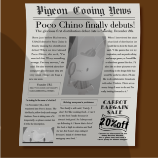 Pocochino News