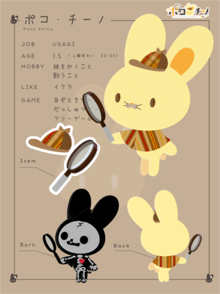 Pocochino Introduction