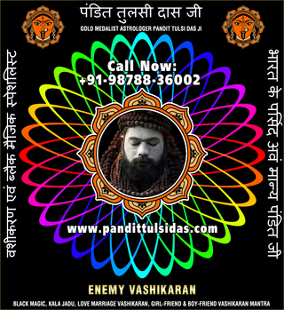 Top Astrologers in India Punjab Phillaur Jalandhar +91-9878836002 https://www.pandittulsidas.com