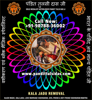 Tantrik Astrologer in India Punjab Phillaur Jalandhar +91-9878836002 https://www.pandittulsidas.com