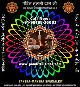 Gems Astrologers in India Punjab Phillaur Jalandhar +91-9878836002 https://www.pandittulsidas.com