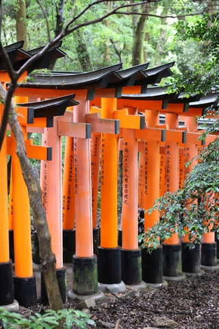 Fushimi Inari Pathway