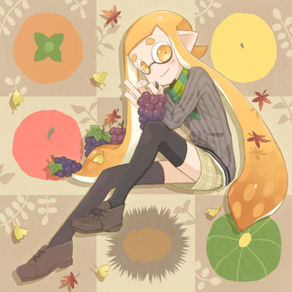 splatoon/2019作