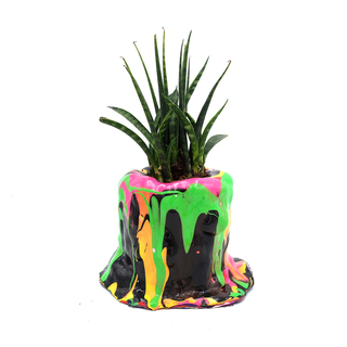 Living Sculpture, 2024,

Mischtechnik auf Farbdose mit Pflanze,

13 x 12 x 13 cm