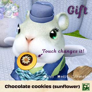 [rnR] Chocolate cookies (sunflower)(GIFT)