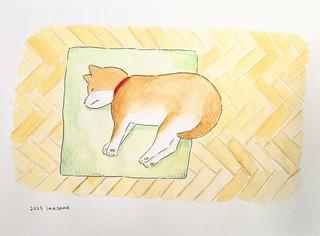 ふうちゃんのひるね
